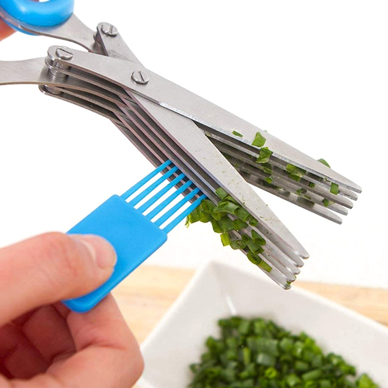 Herb and Onion Scissor