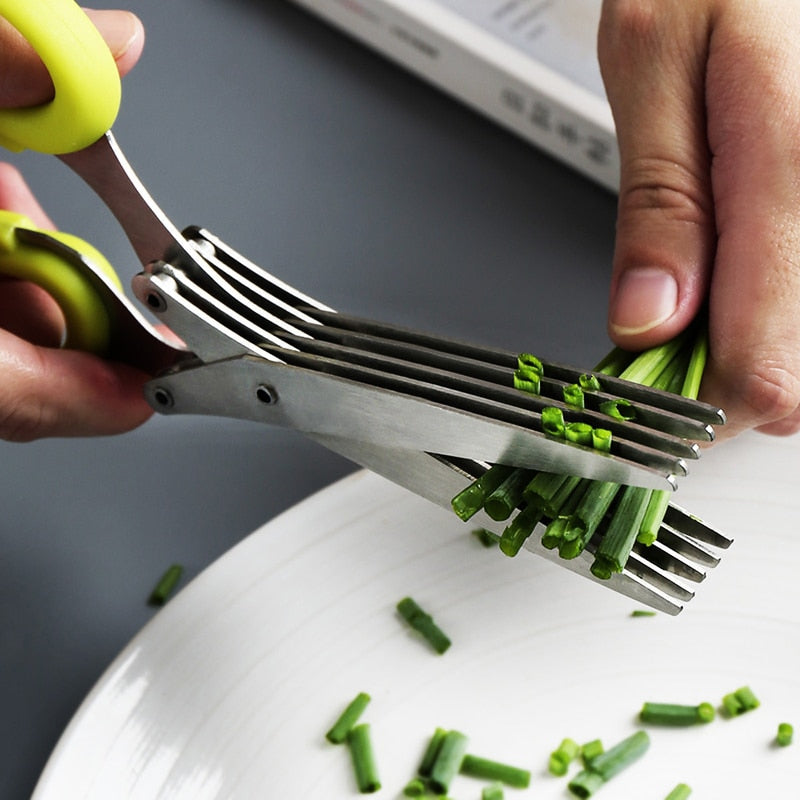 Herb and Onion Scissor